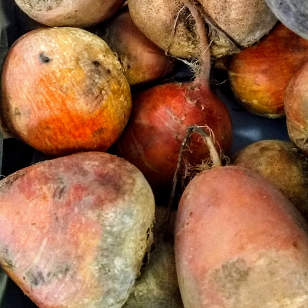 Beets Mixed Organic Langwater
