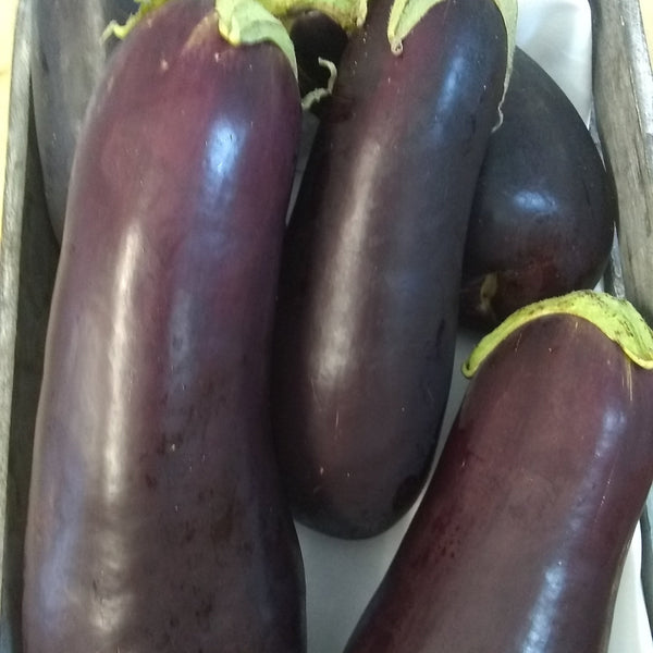 Eggplant Mixed Organic Bay End