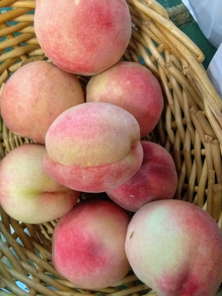 Peaches CNG Yellow Hunt Farm