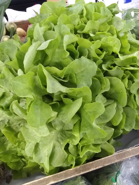 Lettuce Heads Organic Langwater