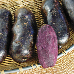 Potatoes Blue Fingerling