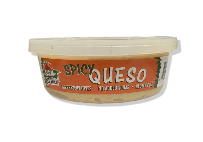 Spicy Queso