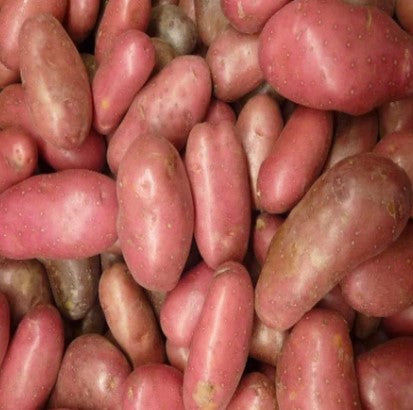 Potatoes AmaRosa Fingerling Organic
