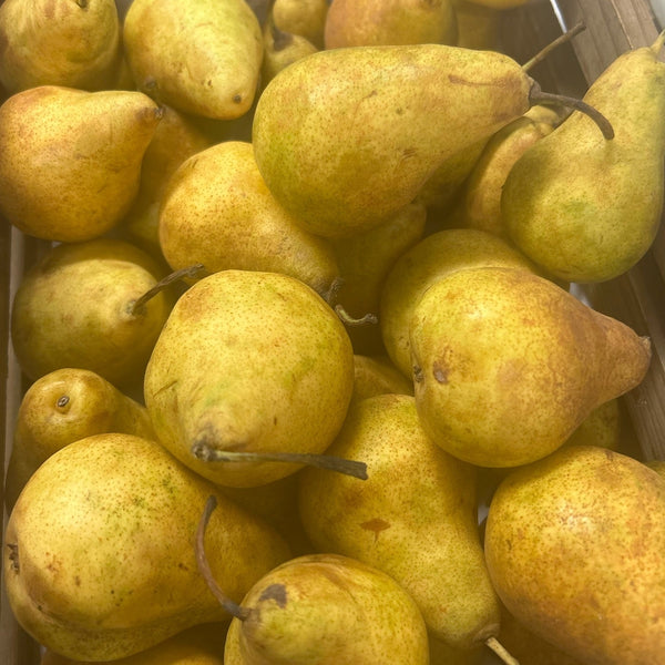 Pears Bartlett PA