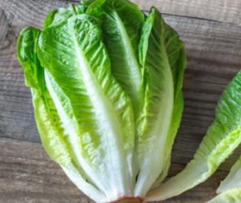 Lettuce Romaine Wards