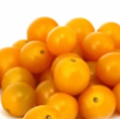 Tomatoes Cherry Organic Wildberry Acres