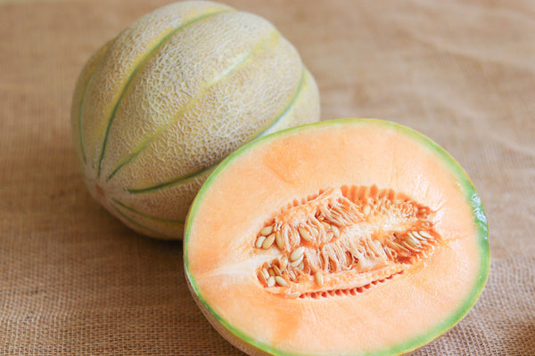 Cantaloupe Sugar Cube