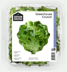 Lettuce New England Crunch Gotham Greens