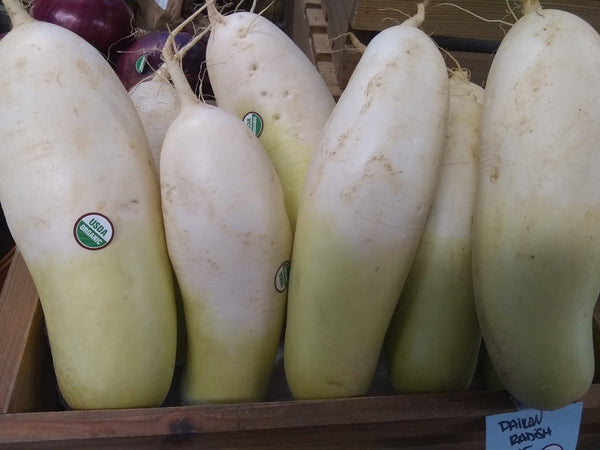 Radish, Organic White Daikon Bay End