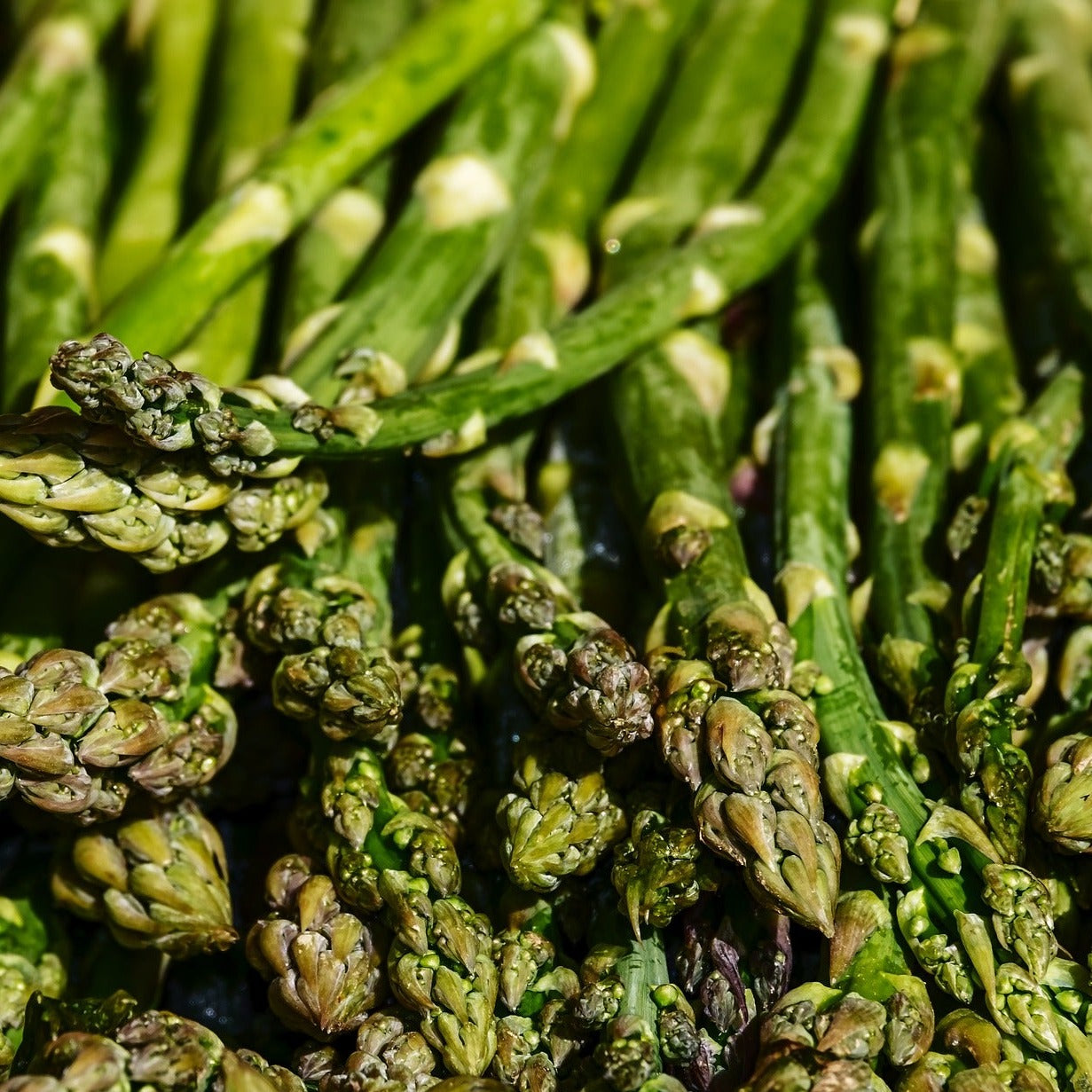 Asparagus, Local Wards