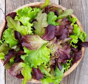 Lettuce Salad Mix, Organic 1/3 lb.