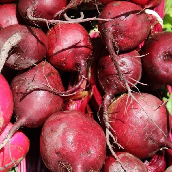 Beets, Gold Organic Langwater
