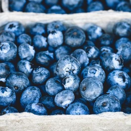 Blueberries, CNG Pint  Hunts Farm