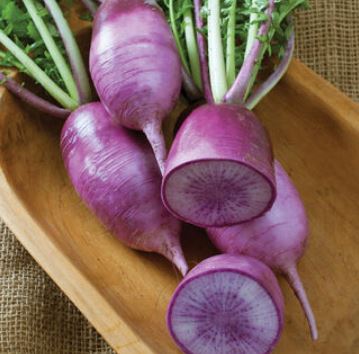 Radish, Organic White Daikon Bay End