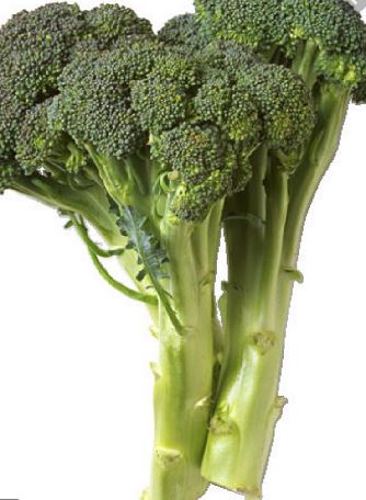 Broccoli Wards