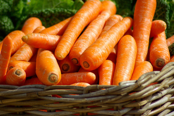 Carrots Orange with tops! CNG Wildberry Acres
