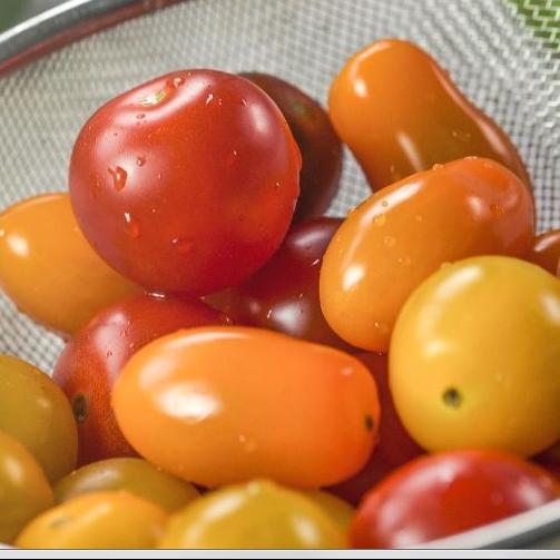 Tomatoes Cherry Organic Wildberry Acres