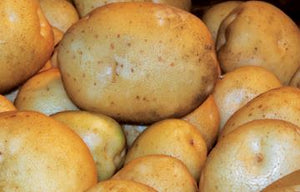 Potatoes, Organic Gold Creamer, Langwater