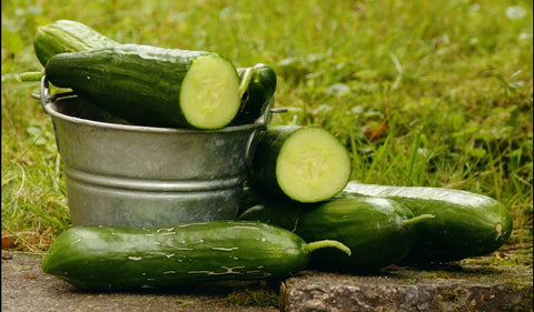 Cucumber Organic Langwater