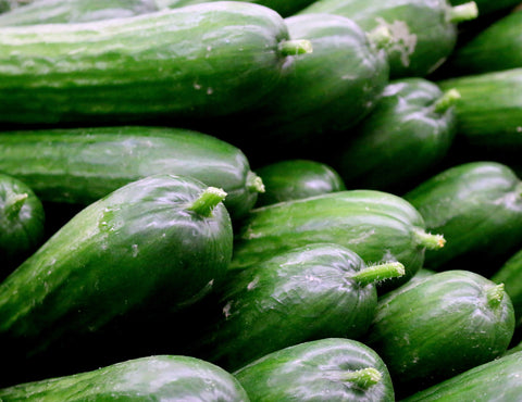 Cucumber, Super Slicers BUY 2 SAVE