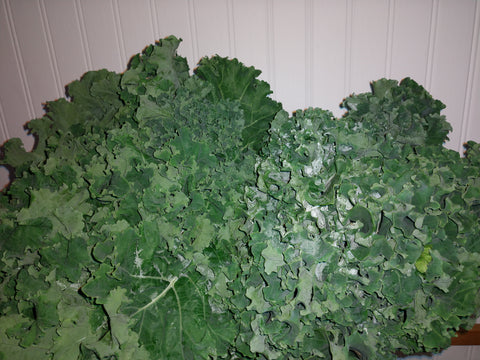 Kale, Green, Curly Organic, Langwater