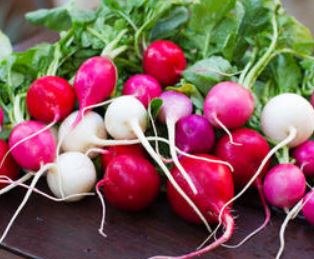 Radish Bumch CNG Organic