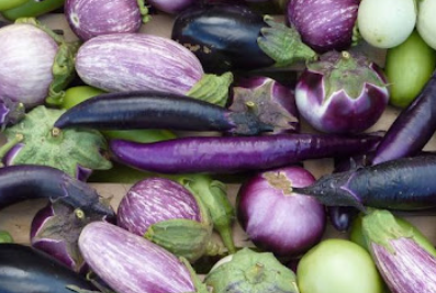 Eggplant Mixed Organic Bay End