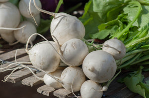 Turnip Hakurei Organic