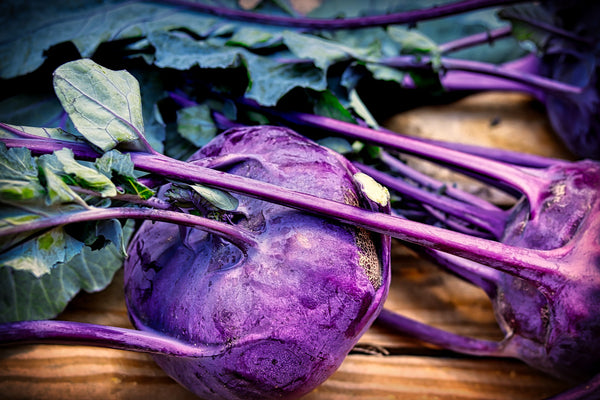 Kohlrabi Mixed Organic