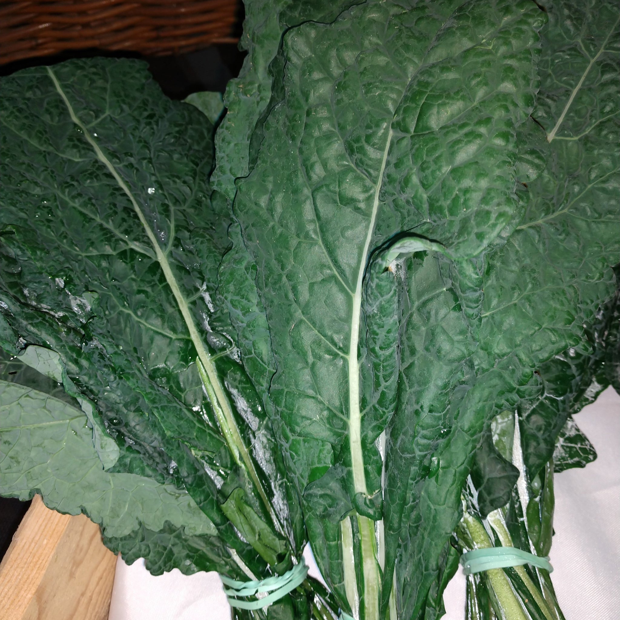 Kale Tuscan Organic