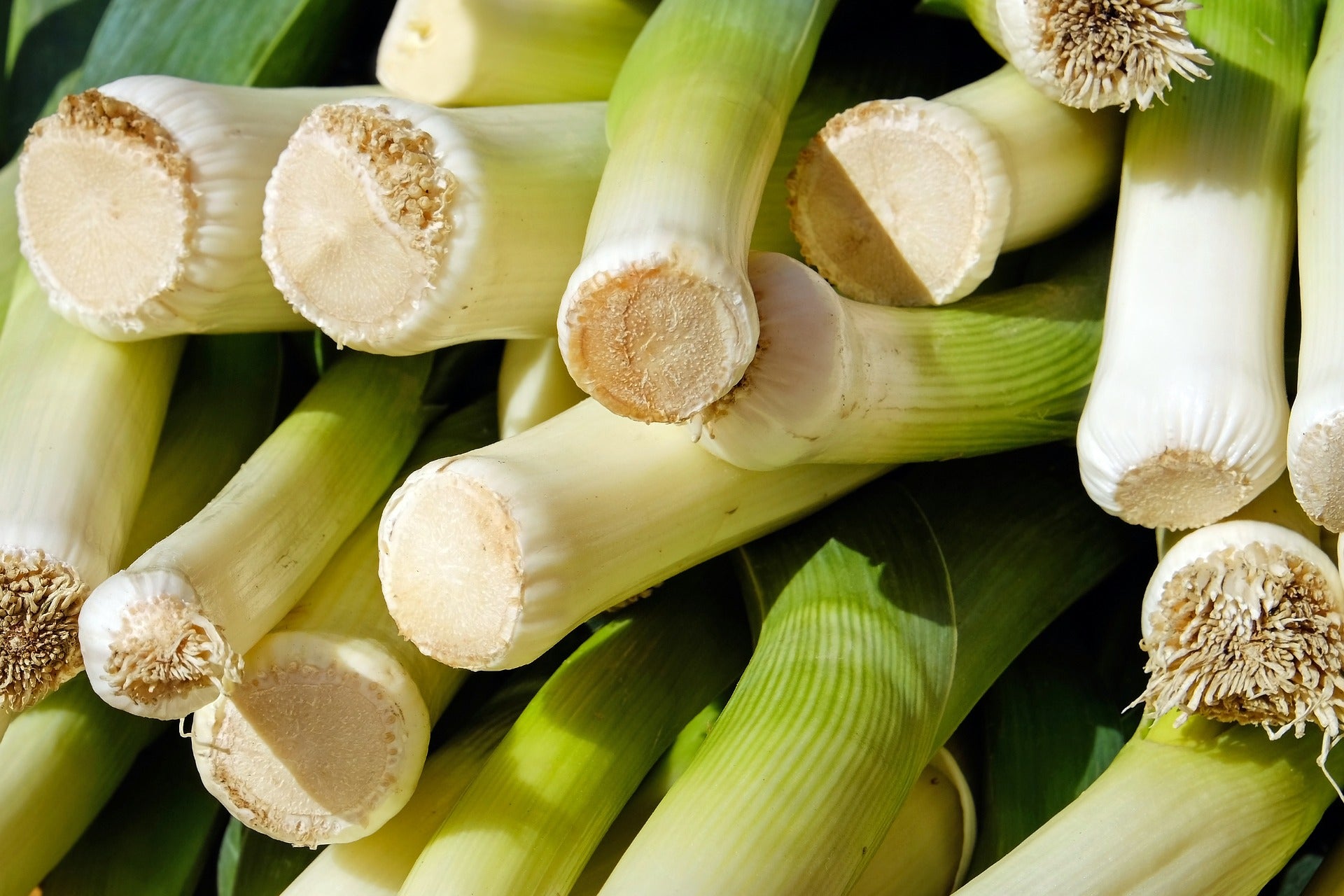 Leeks BIG Organic Arcadian Fields 1 lg