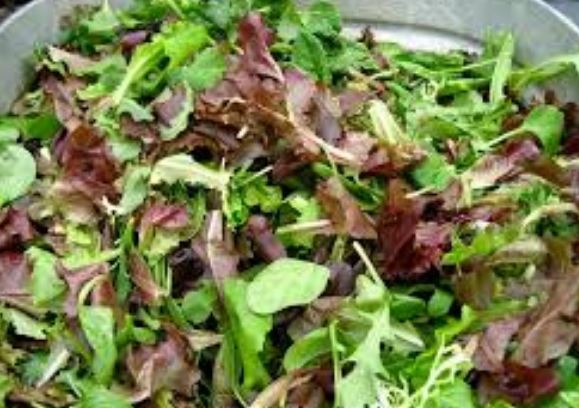 Salad Mix Organic Red Fire 1/3 lb