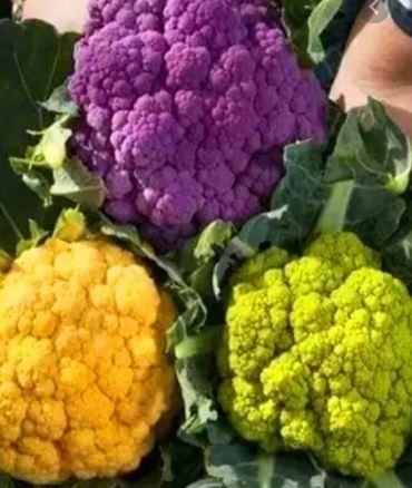 Cauliflower Organic Purple Red Fire Farm