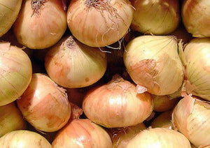 Onions Yellow Organic Long Lane Farm