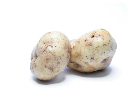 Potatoes White Chef Schartner Family Farm