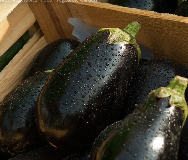 Eggplant Organic Mixed Bay End Farm