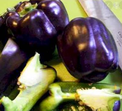 Pepper Organic Purple Bell Sweet