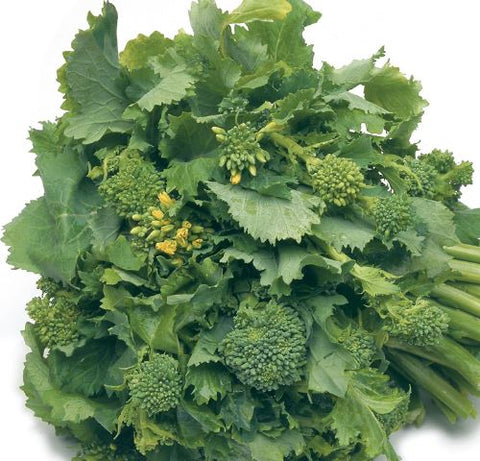 Broccoli Rabe, Organic Kitchen Garden