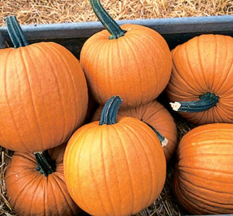 Pumpkins 3 kinds