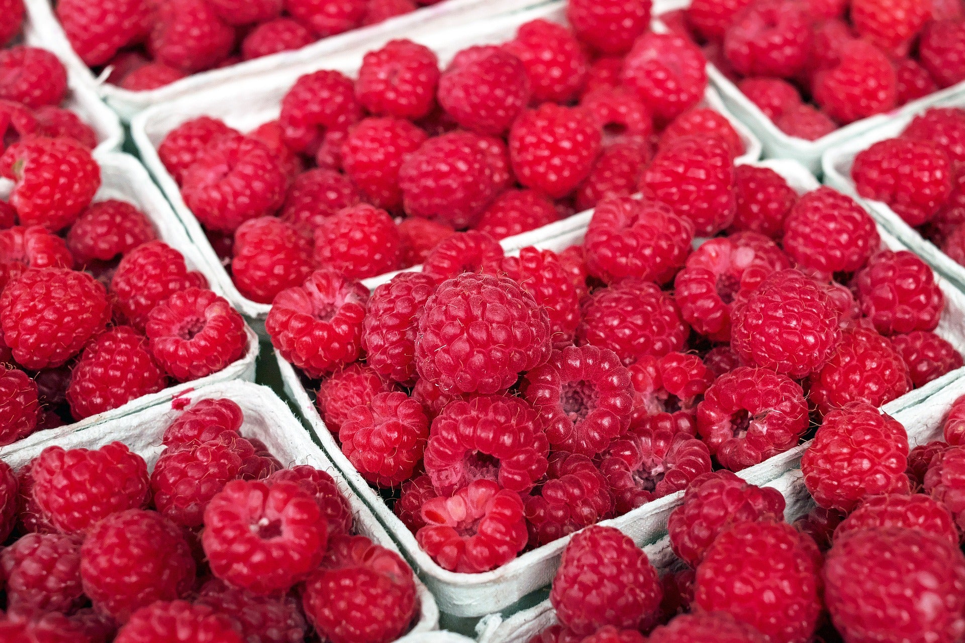 Raspberries CNG 1/2 pint Hunts Berry Farm