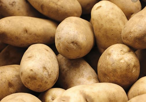 Potatoes Russet