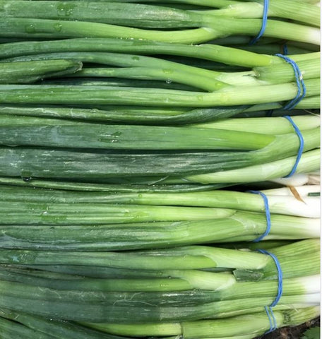 Green Onion - Scallions