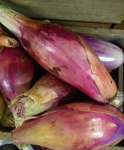 Shallots FRESH Organic