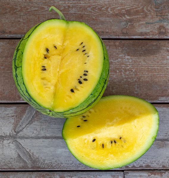 Watermelon Round Red Wards