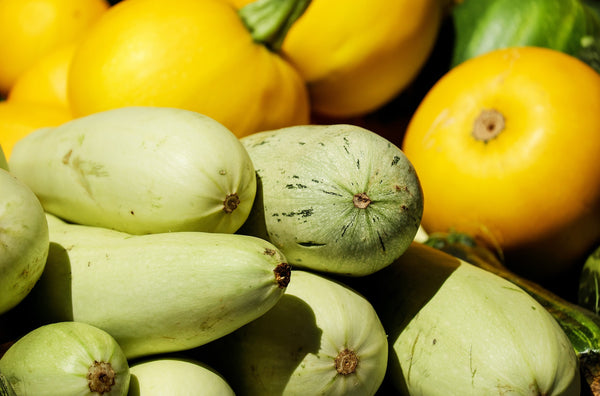 Squash Mixed Zucchini Organic