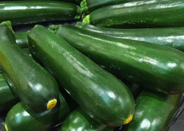 Squash Summer & Zucchini Organic Bay End